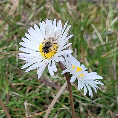 Bewahrung der Schöpfung- eine Nummer zu groß ?
